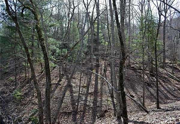 1.47 Acres of Residential Land for Sale in Jasper, Georgia