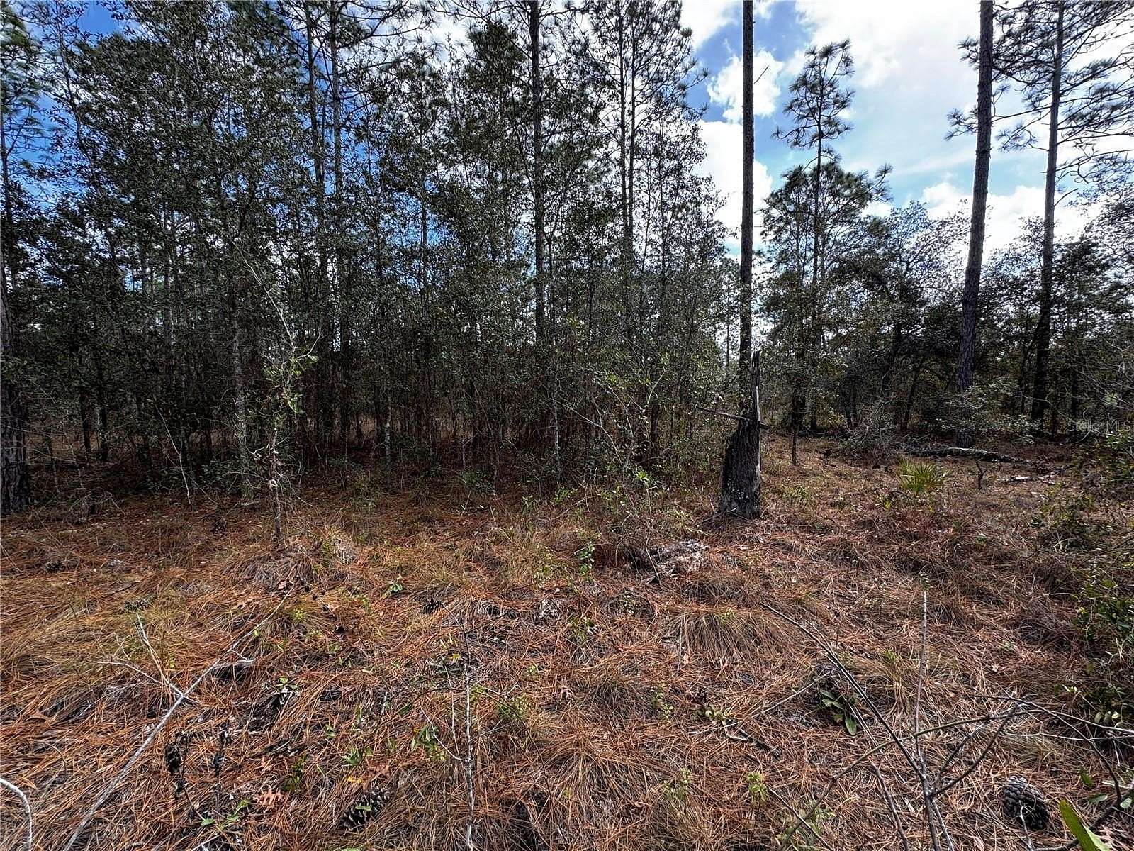 0.25 Acres of Residential Land for Sale in Dunnellon, Florida