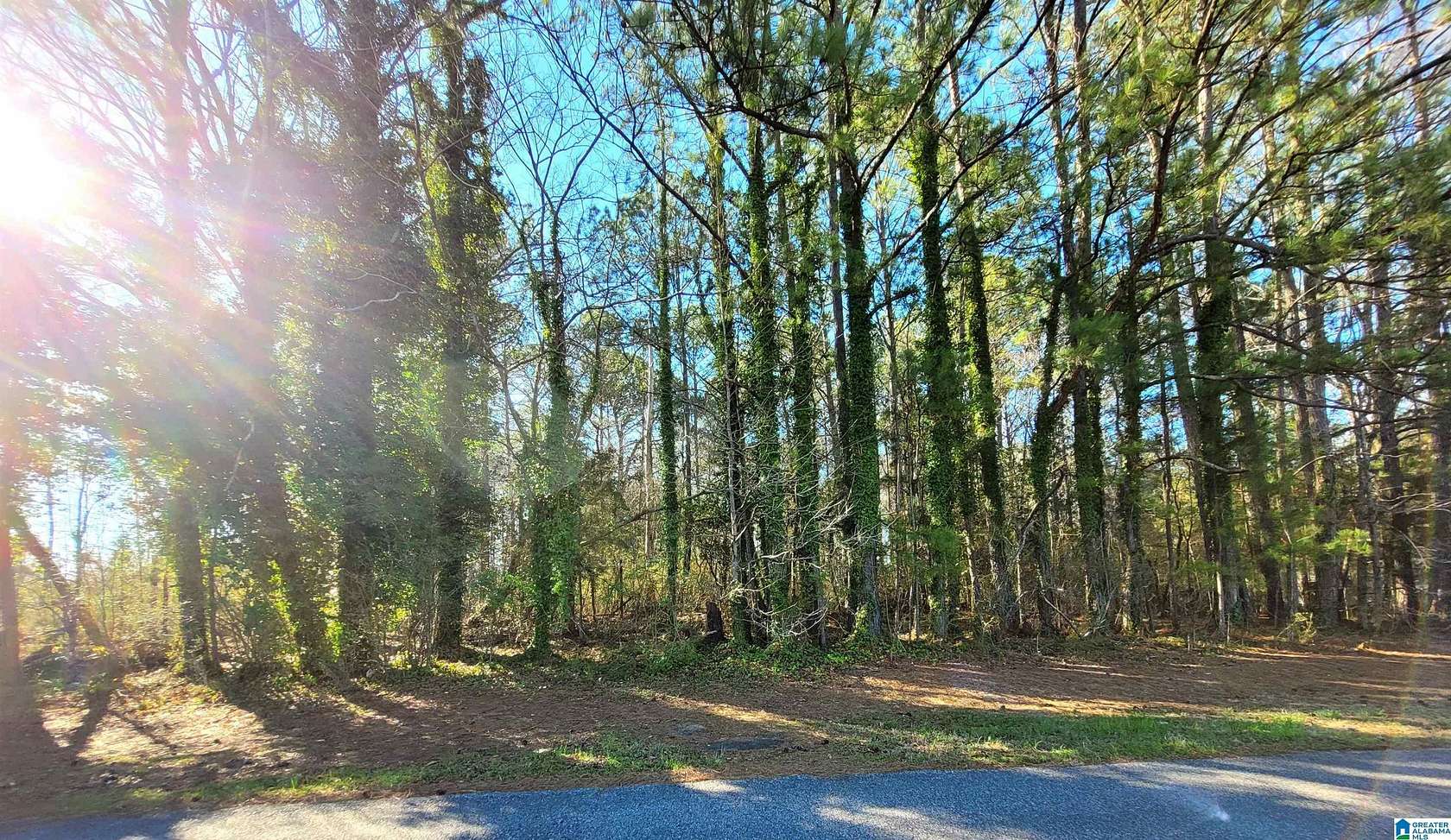 1 Acre of Residential Land for Sale in Talladega, Alabama