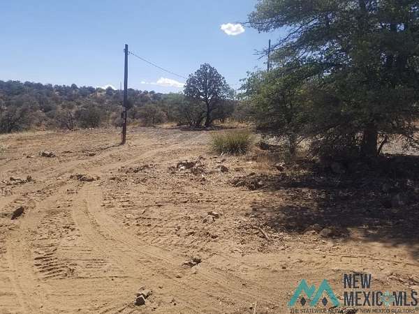 40 Acres of Agricultural Land for Sale in Silver City, New Mexico