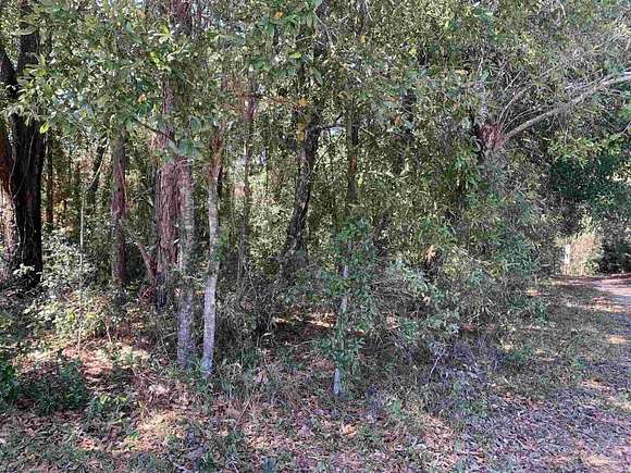 0.3 Acres of Residential Land for Sale in Pensacola, Florida