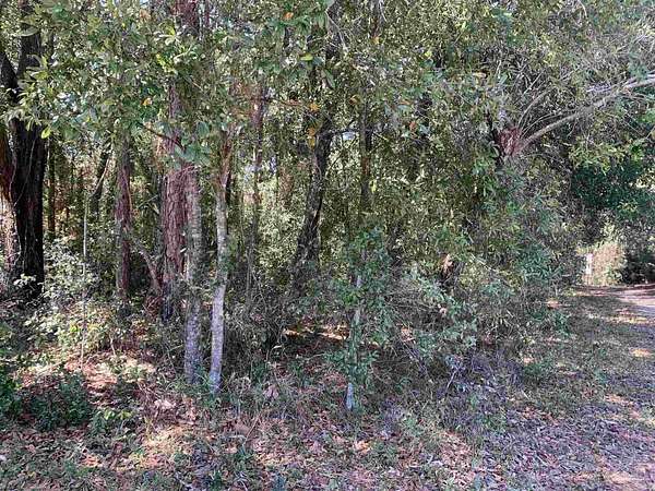 0.3 Acres of Residential Land for Sale in Pensacola, Florida