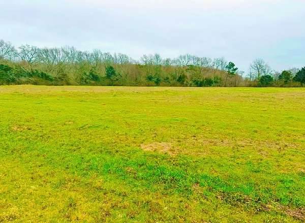 5 Acres of Residential Land for Sale in Slocomb, Alabama