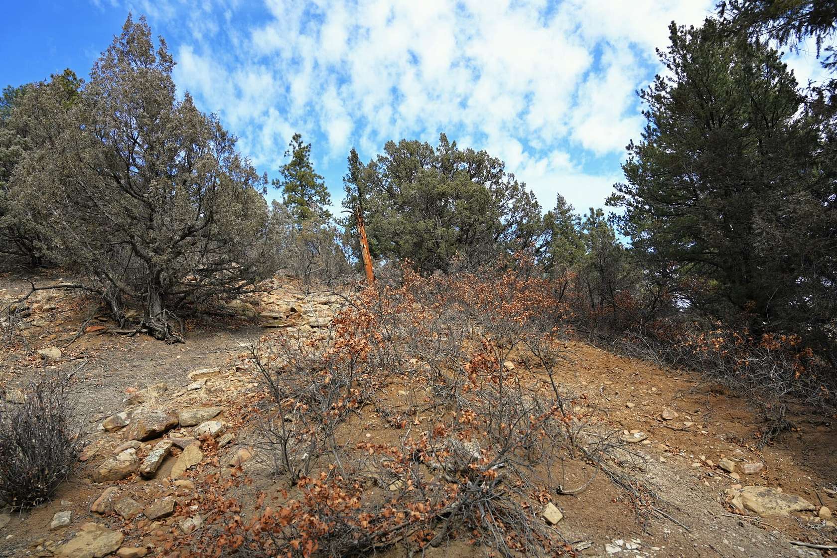 1 Acre of Land for Sale in Tierra Amarilla, New Mexico