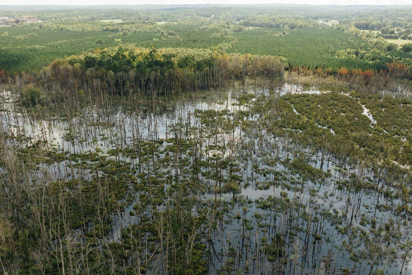 106 Acres of Recreational Land for Sale in Millport, Alabama