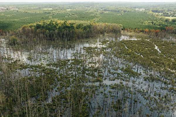 106 Acres of Recreational Land for Sale in Millport, Alabama