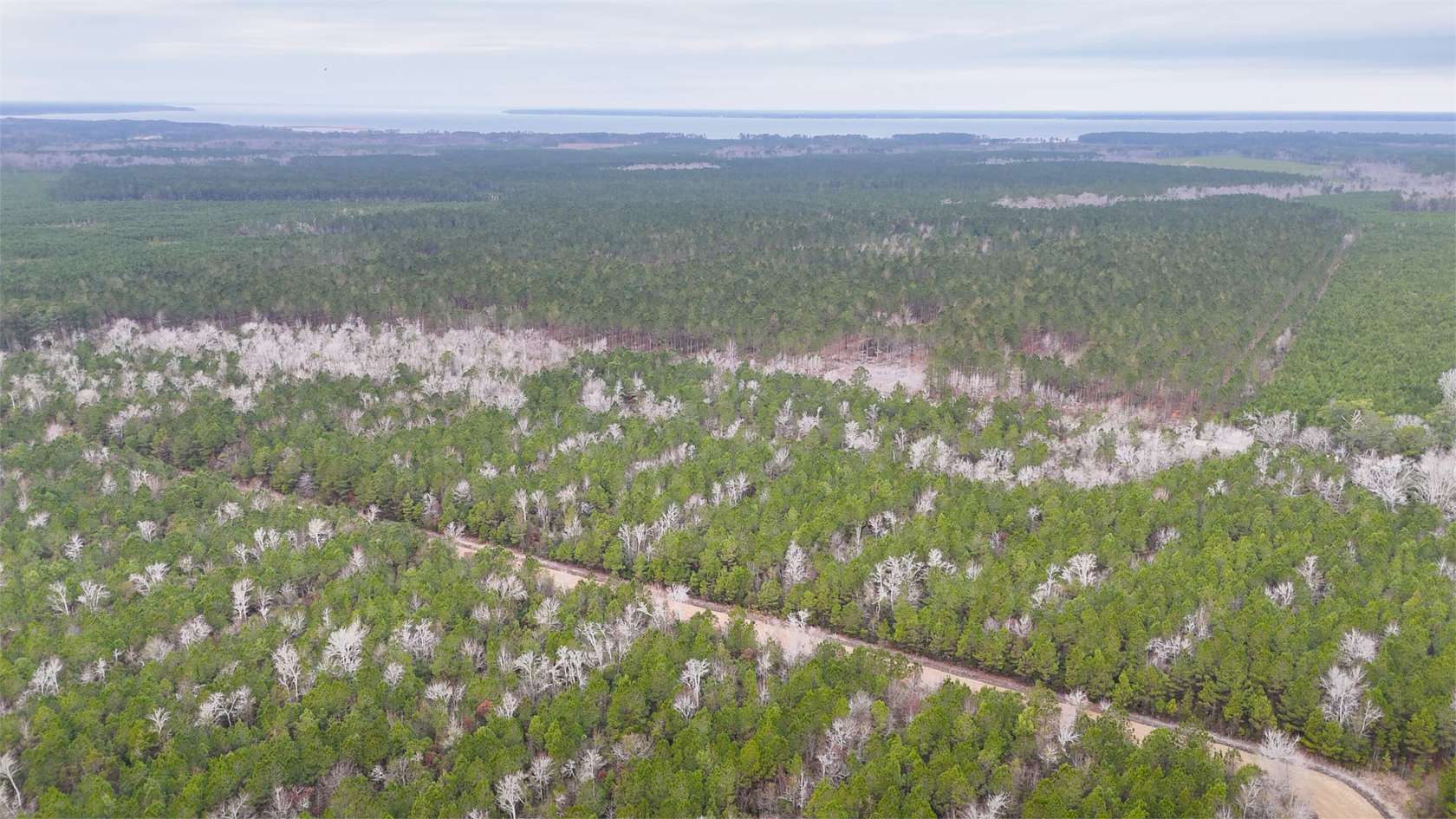 25 Acres of Recreational Land for Sale in Havelock, North Carolina