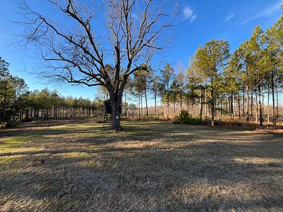 72 Acres of Recreational Land for Sale in Batesburg-Leesville, South Carolina