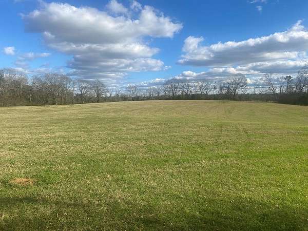 10 Acres of Residential Land for Sale in Brundidge, Alabama