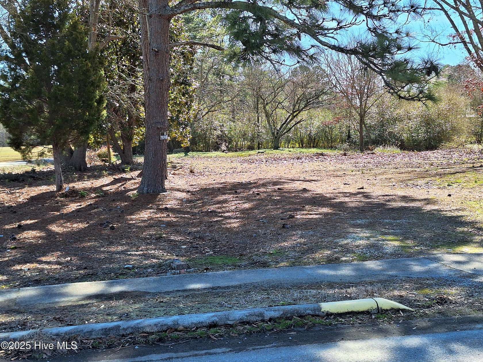 0.48 Acres of Land for Sale in Rich Square, North Carolina