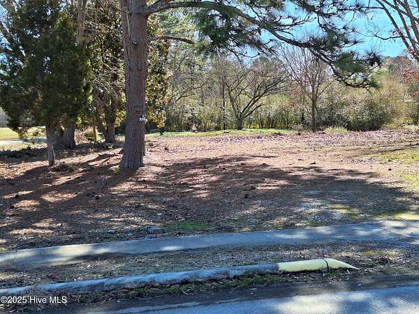 0.48 Acres of Land for Sale in Rich Square, North Carolina