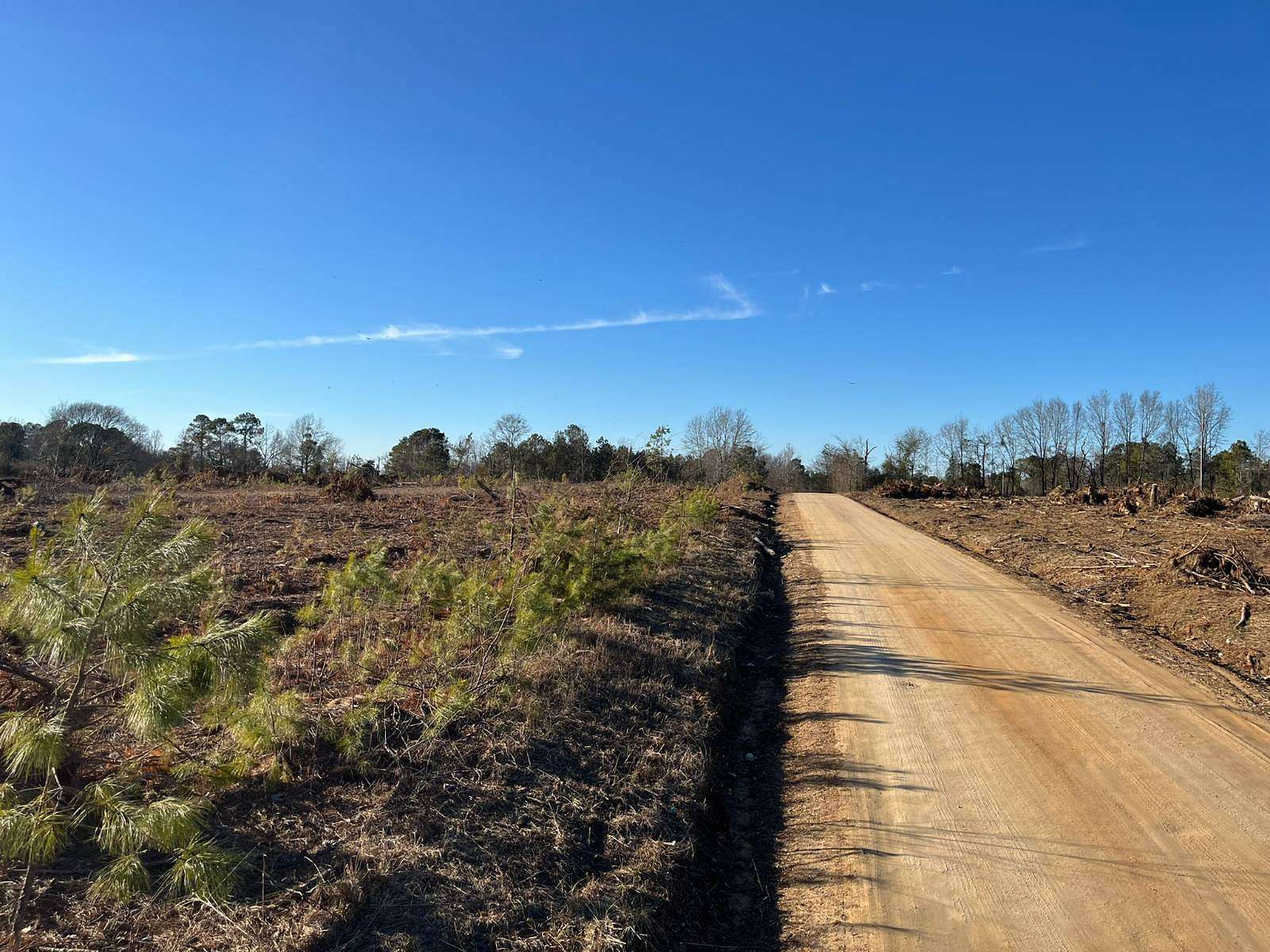 5 Acres of Residential Land for Sale in Batesburg-Leesville, South Carolina
