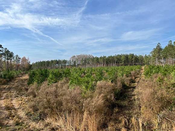 16 Acres of Recreational Land for Sale in Batesburg-Leesville, South Carolina