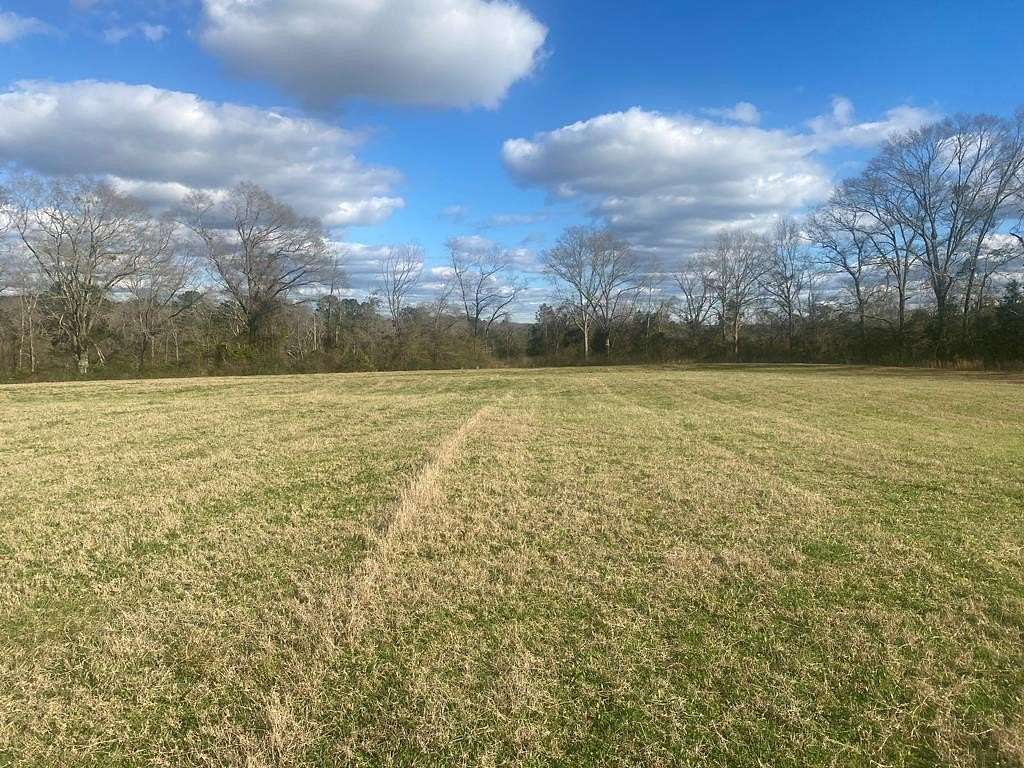 15 Acres of Land for Sale in Brundidge, Alabama