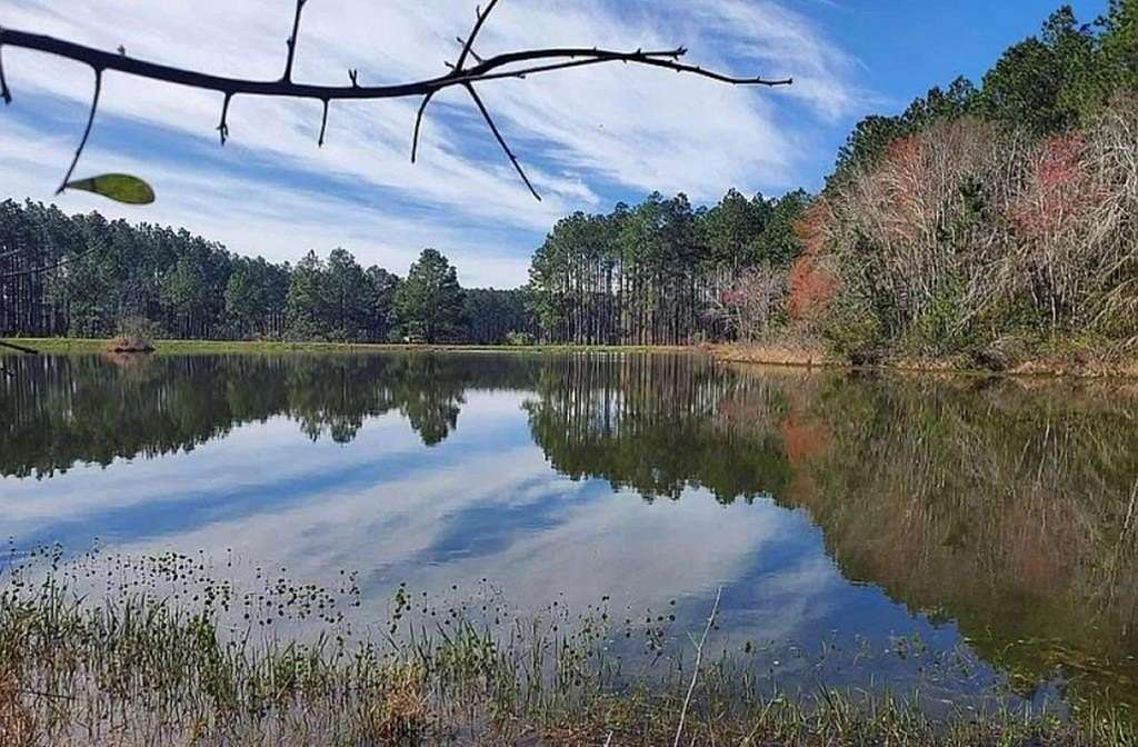 0.96 Acres of Residential Land for Sale in Arabi, Georgia