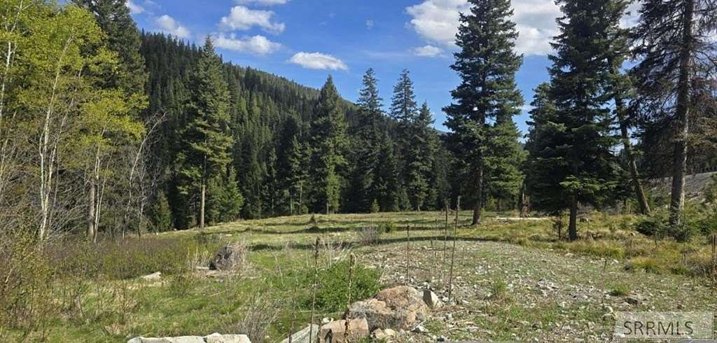 2.6 Acres of Residential Land for Sale in Gibbonsville, Idaho