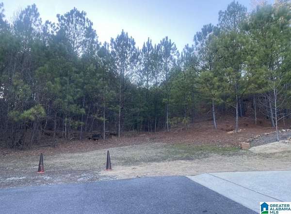 3.88 Acres of Residential Land for Sale in Birmingham, Alabama