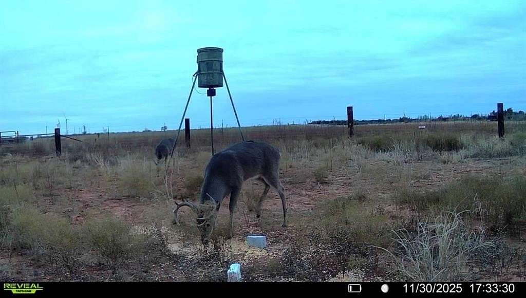 42 Acres of Recreational Land & Farm for Sale in Seymour, Texas