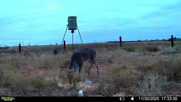 42 Acres of Recreational Land & Farm for Sale in Seymour, Texas