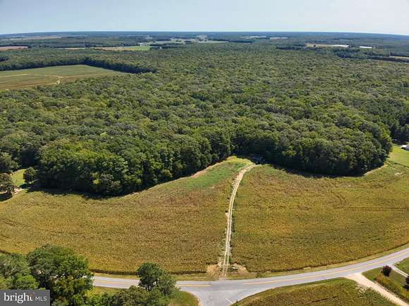 35 Acres of Land for Sale in Bridgeville, Delaware