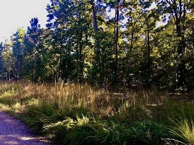 5 Acres of Residential Land for Sale in Bigelow, Arkansas