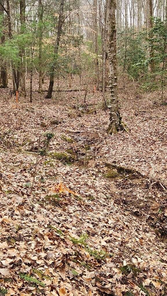 0.91 Acres of Land for Sale in Ellijay, Georgia