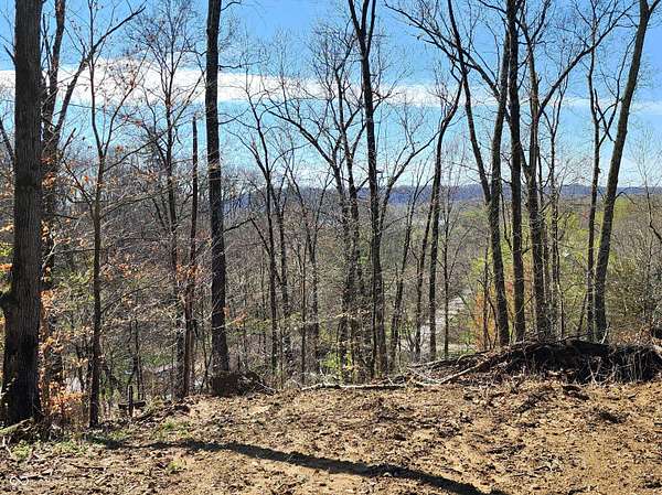 7.67 Acres of Land for Sale in Martinsville, Indiana