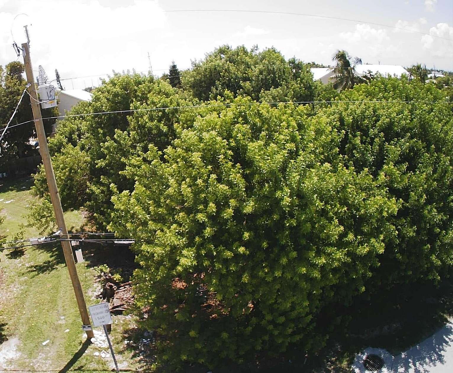 Residential Land for Sale in Marathon, Florida