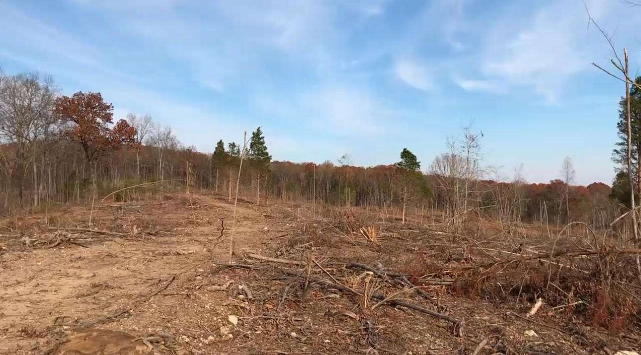 32.4 Acres of Land for Sale in Athens, Tennessee