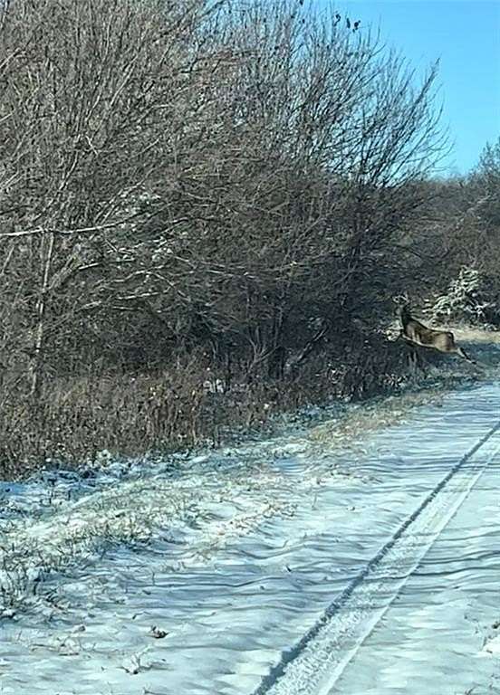 0.28 Acres of Residential Land for Sale in Linn Valley, Kansas