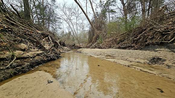 40.7 Acres of Recreational Land & Farm for Sale in Ravenna, Texas