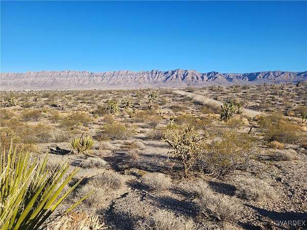 1 Acre of Residential Land for Sale in Meadview, Arizona