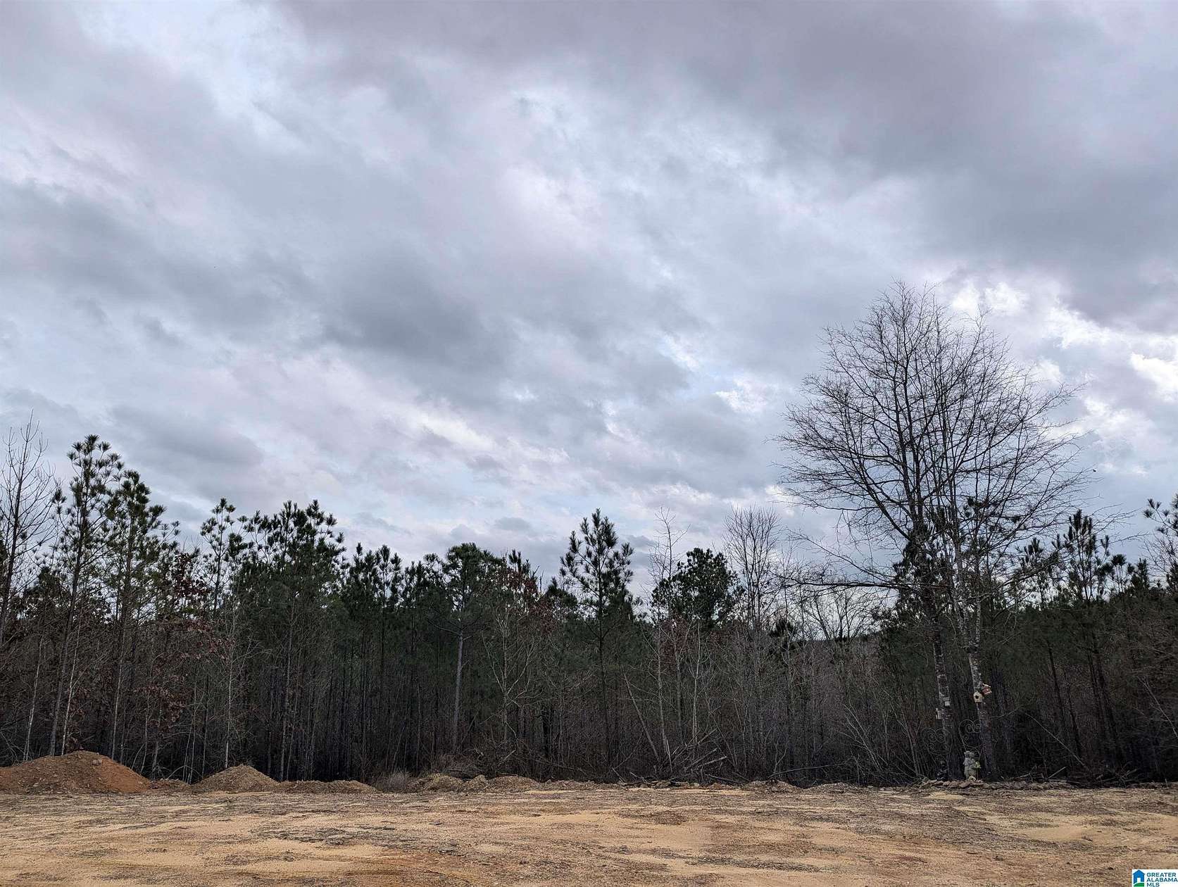45.6 Acres of Recreational Land for Sale in Lawley, Alabama