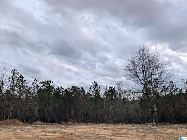 45.6 Acres of Recreational & Residential Land for Sale in Lawley, Alabama
