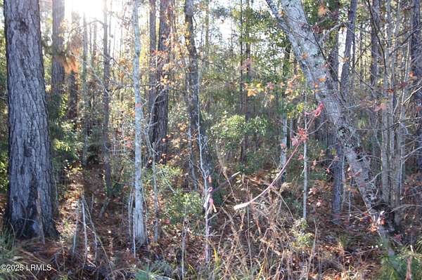 0.59 Acres of Residential Land for Sale in Varnville, South Carolina