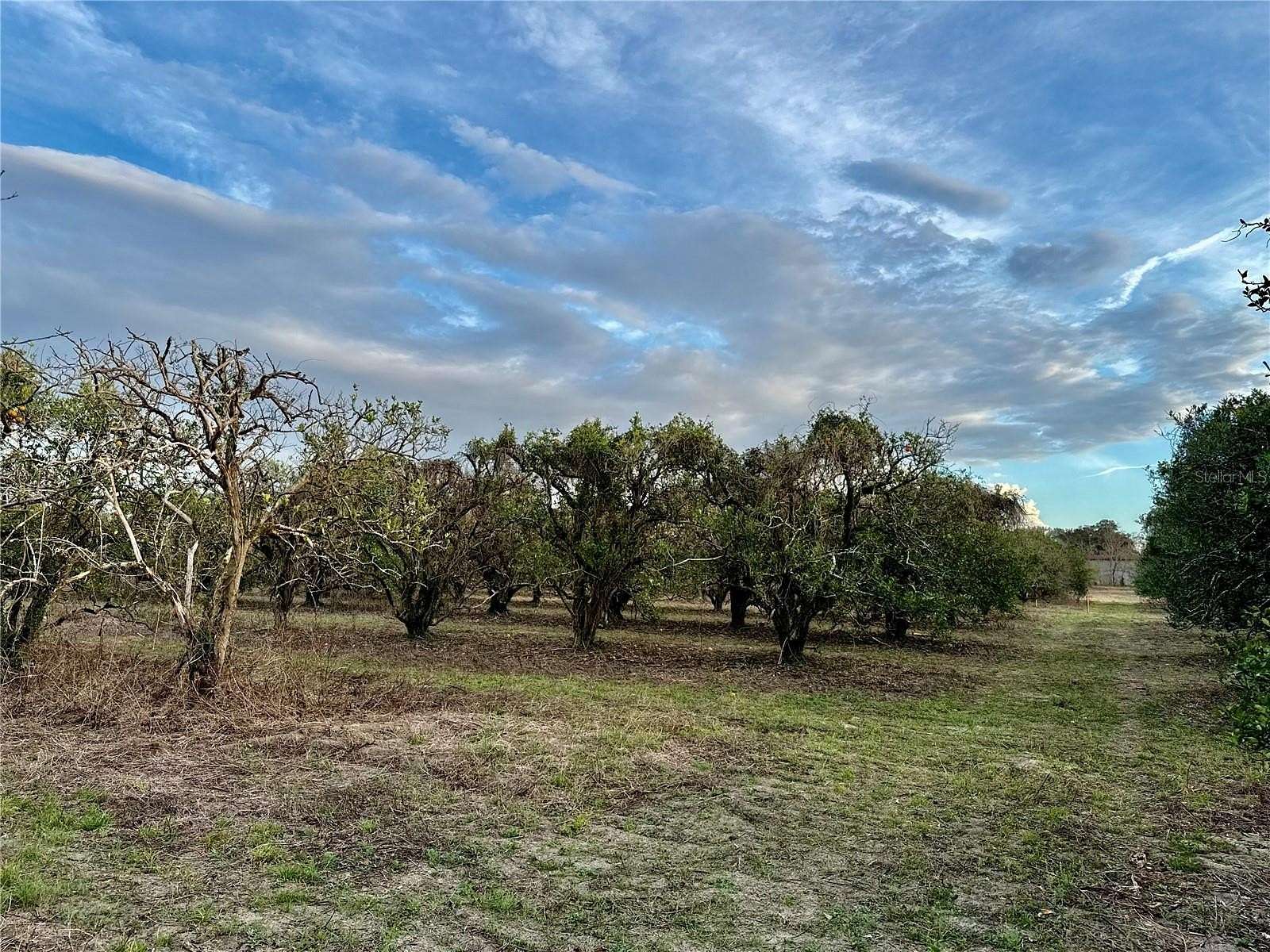 3 Acres of Residential Land for Sale in Weirsdale, Florida