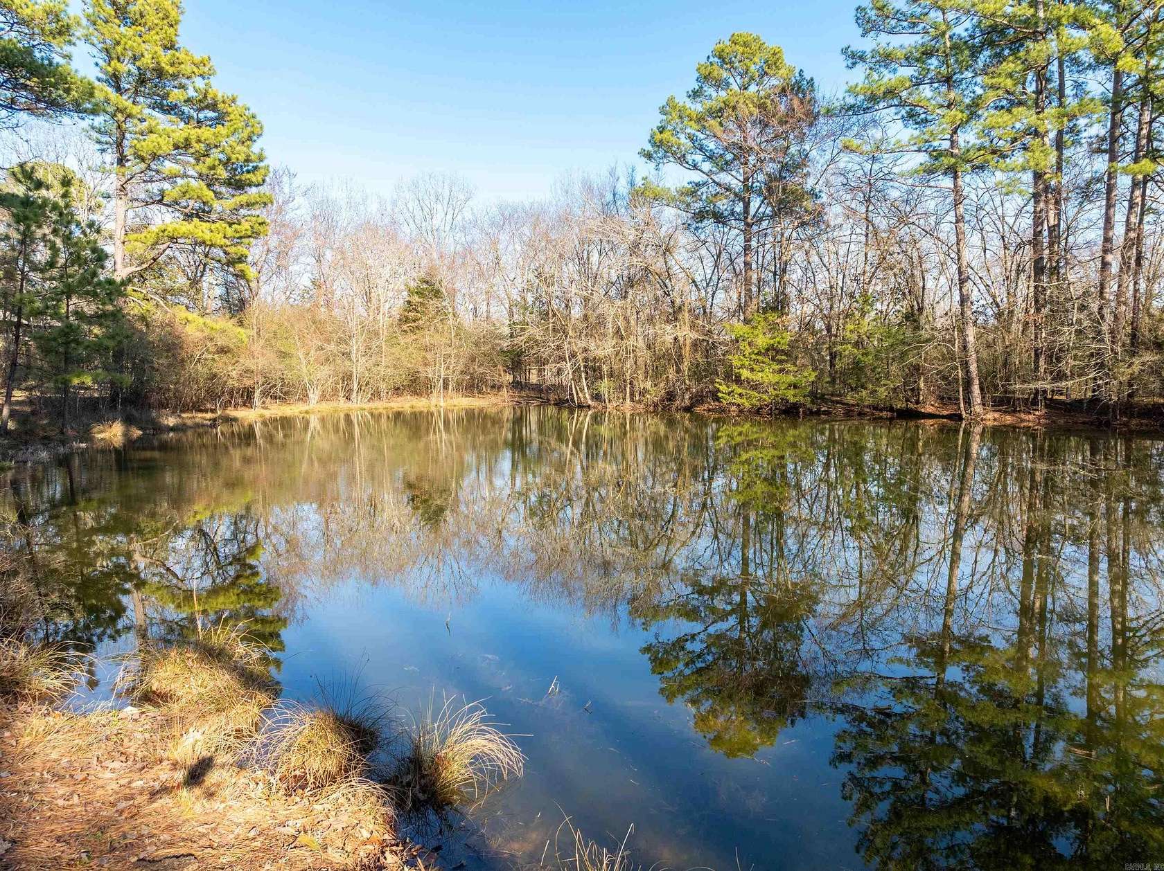 24.1 Acres of Land for Sale in Royal, Arkansas