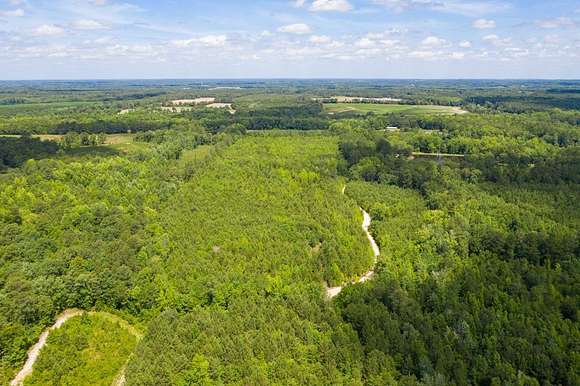 17.4 Acres of Land for Sale in St. Matthews, South Carolina