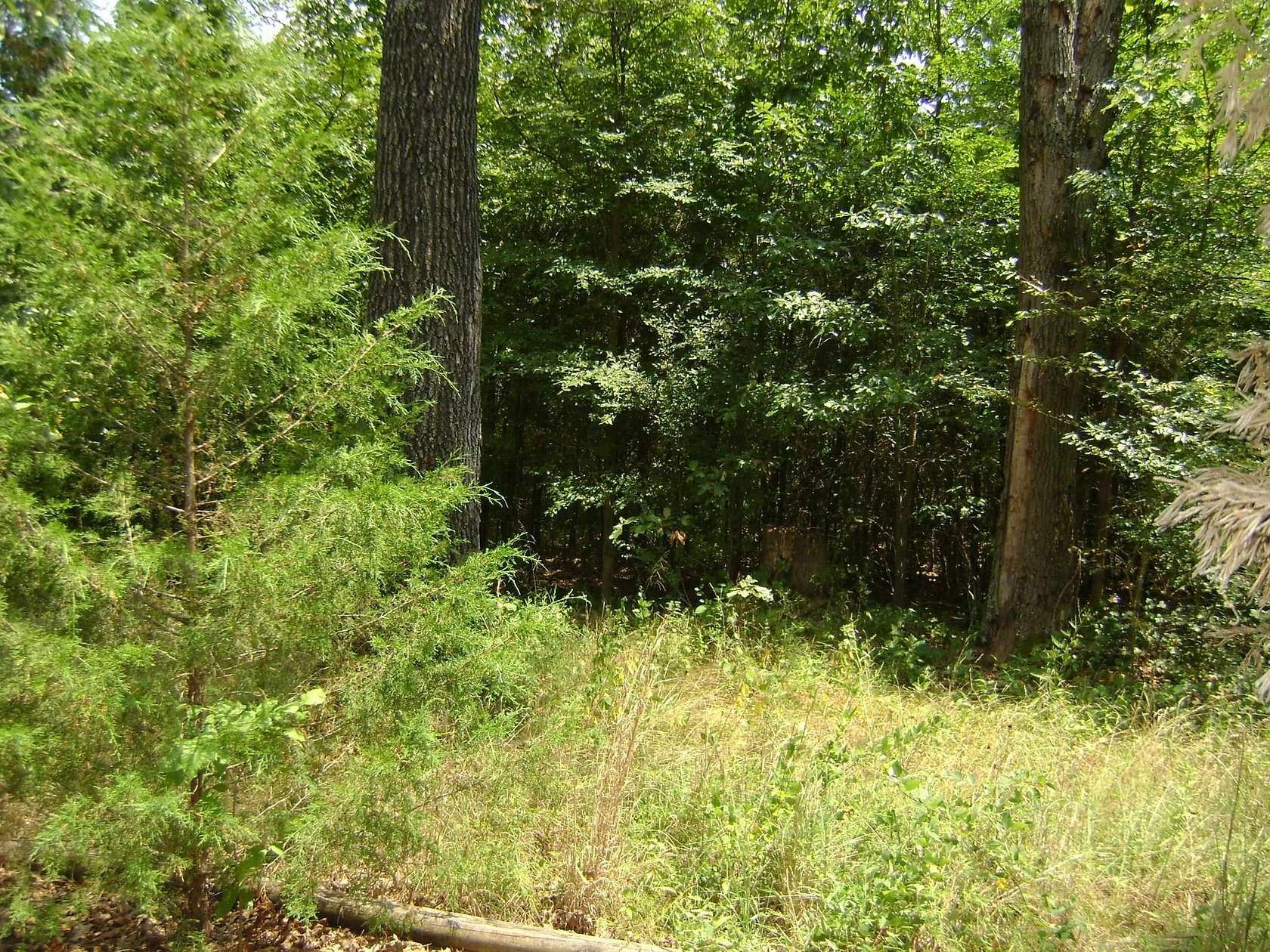 0.75 Acres of Residential Land for Sale in Horseshoe Bend, Arkansas
