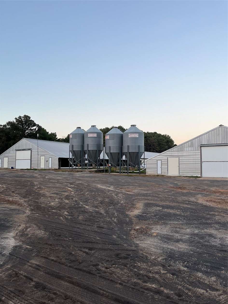 10 Acres of Agricultural Land for Sale in Hughes Springs, Texas