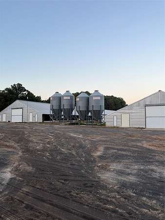 10 Acres of Agricultural Land for Sale in Hughes Springs, Texas