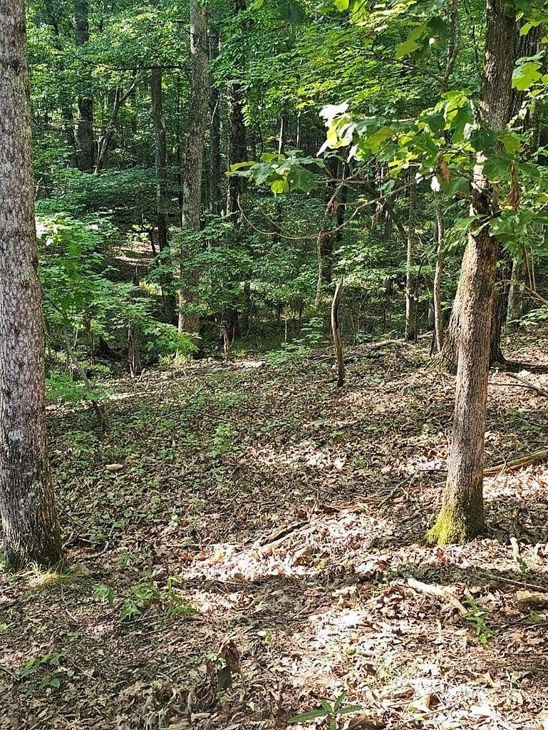 0.67 Acres of Residential Land for Sale in Waverly Hall, Georgia