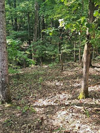 0.67 Acres of Residential Land for Sale in Waverly Hall, Georgia