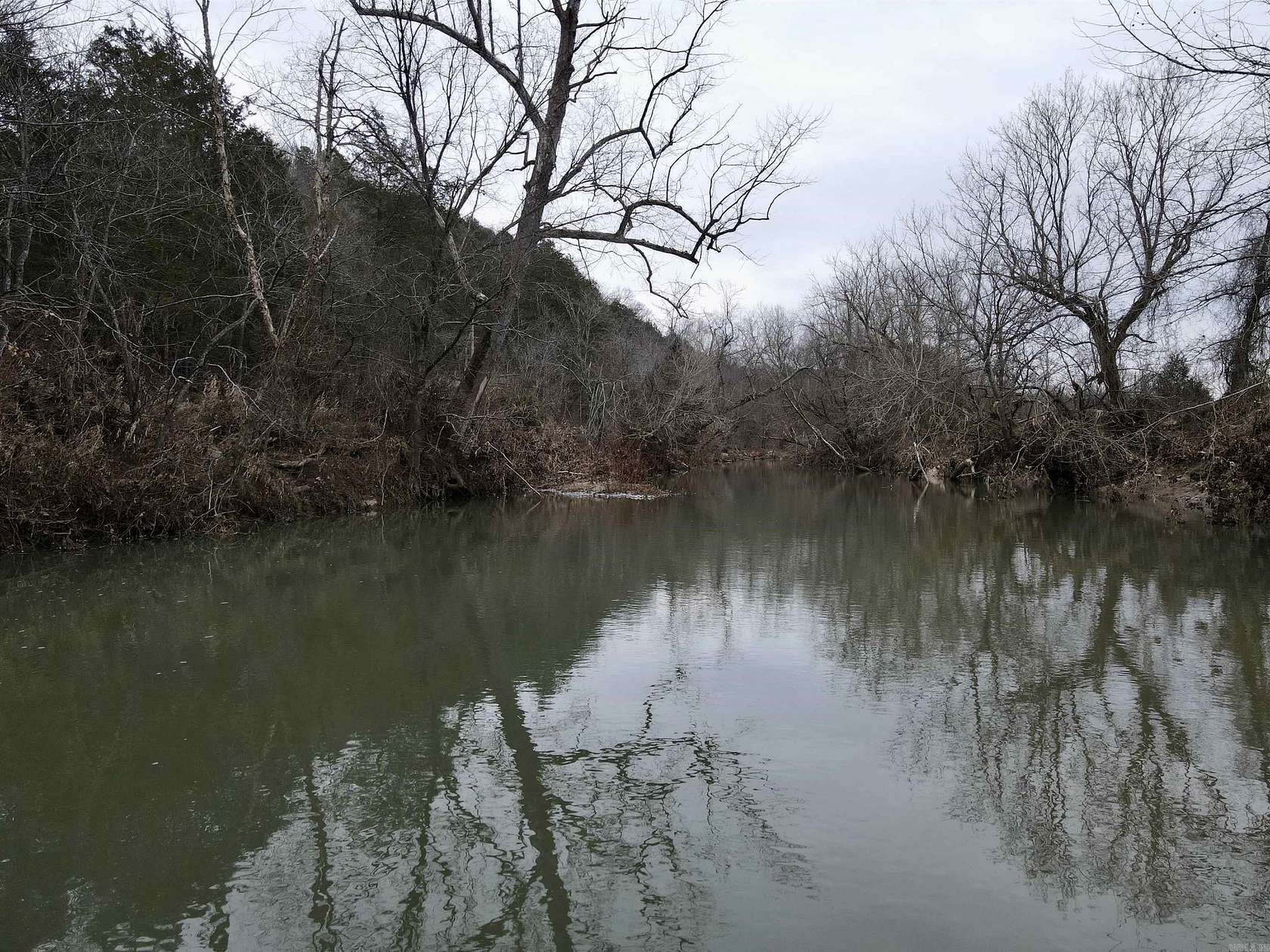 64.2 Acres of Land for Sale in Viola, Arkansas