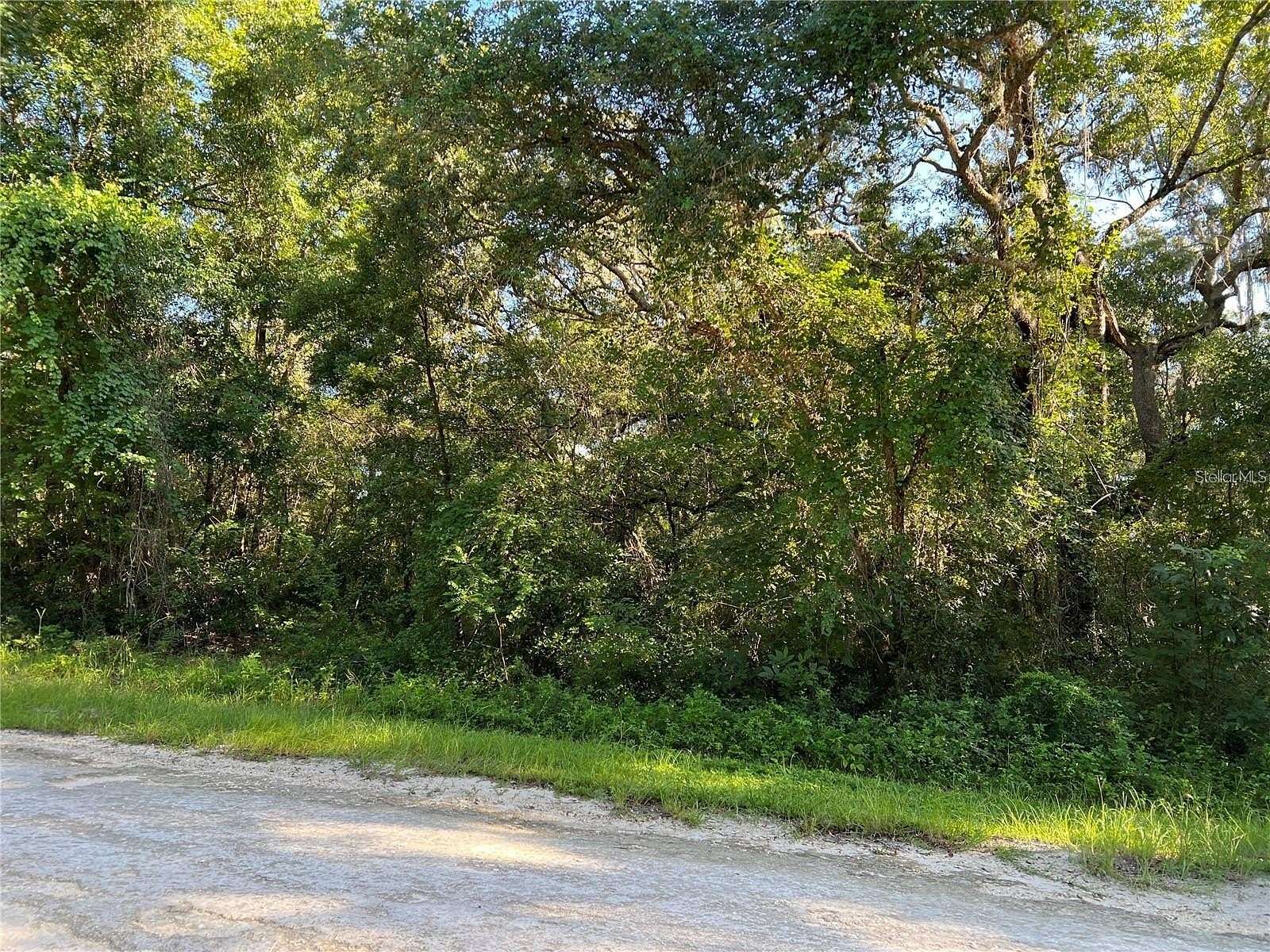 0.43 Acres of Residential Land for Sale in Webster, Florida