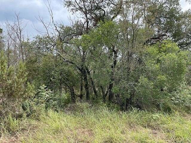 0.47 Acres of Residential Land for Sale in Spicewood, Texas