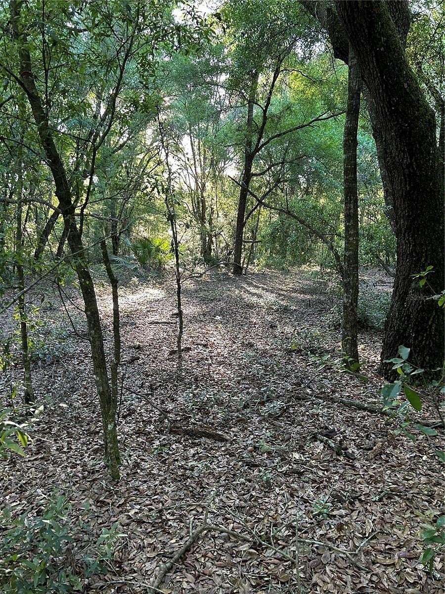 5 Acres of Land for Sale in Dunnellon, Florida