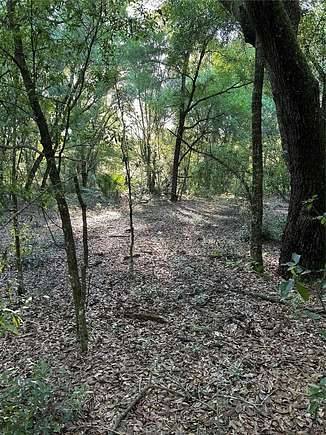 5 Acres of Land for Sale in Dunnellon, Florida