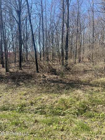 3 Acres of Residential Land for Sale in Gluckstadt, Mississippi