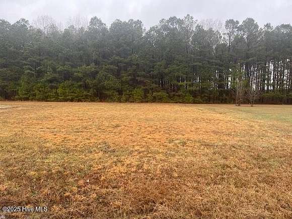 0.84 Acres of Residential Land for Sale in Rich Square, North Carolina